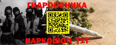 гидра Кандалакша