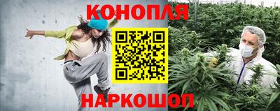 гидра Кандалакша