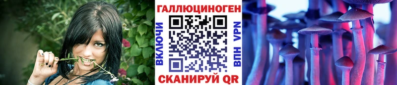 Псилоцибиновые грибы Cubensis  купить  сайты  Лесной 