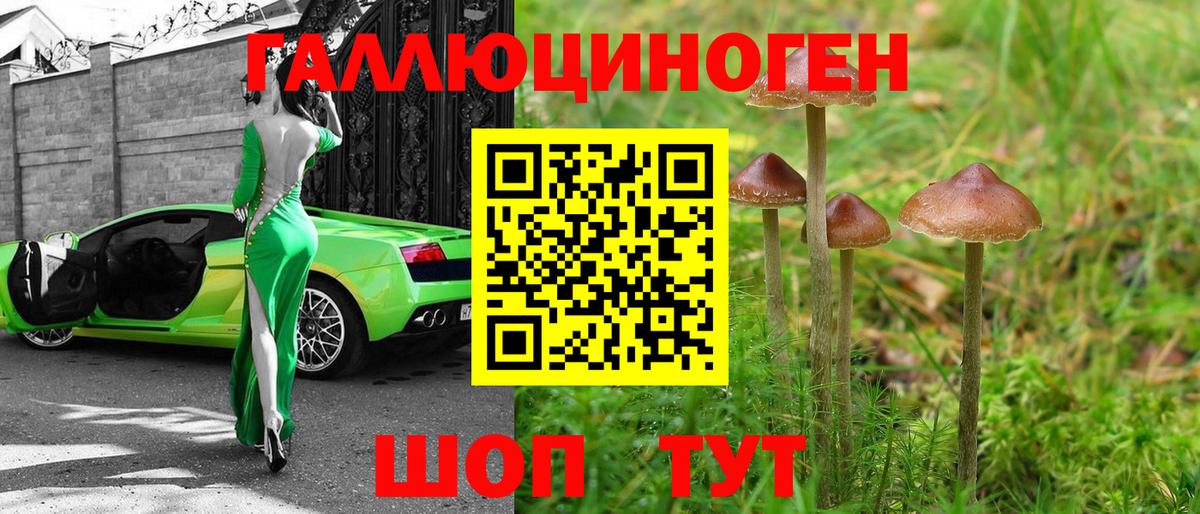 цены   Галлюциногенные грибы ЛСД  Вход с VPN  Лесной  Псилоцибиновые грибы Magic Shrooms 