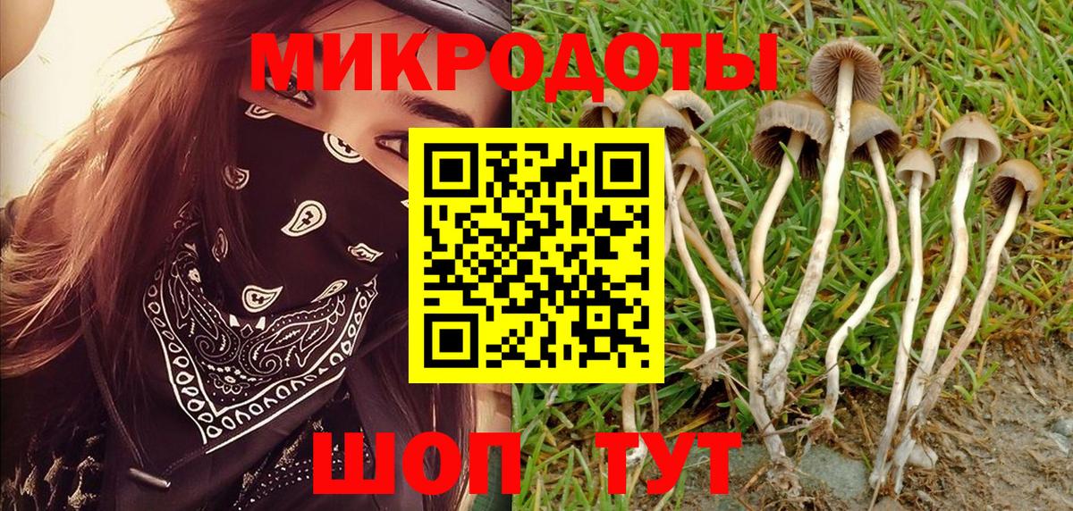 Псилоцибиновые грибы GOLDEN TEACHER Лесной