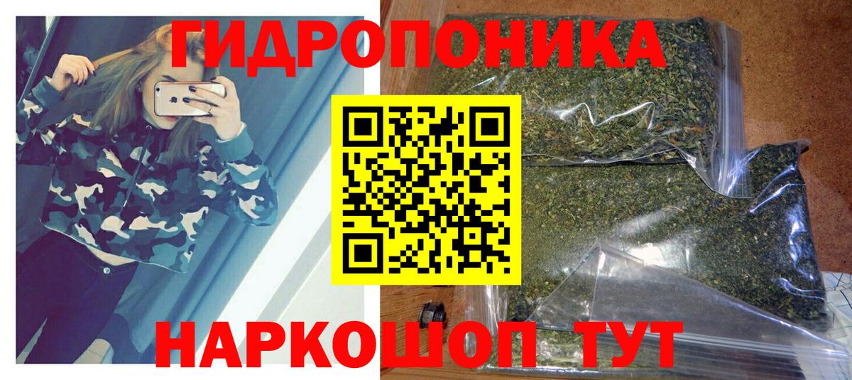 Канабис MAZAR  Каннабис планчик  Лесной  Конопля VHQ  Вход с VPN 